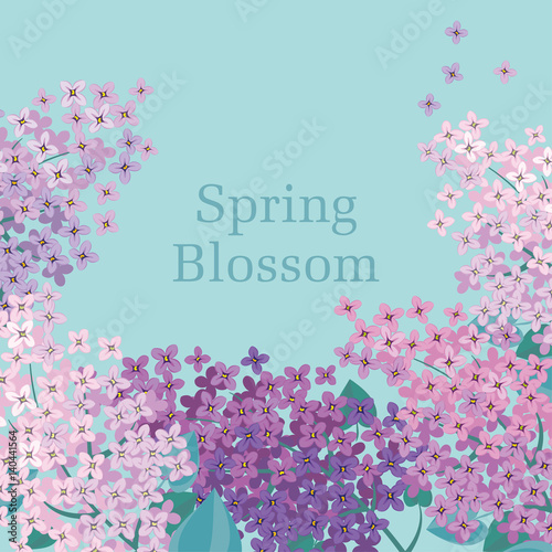 Lilac spring blossom vector...