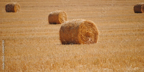 fardos de palha photo