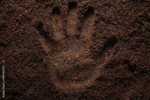 Handprint on soil photo