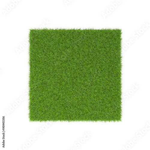 Square of Fescue Grass field over white. Top view. 3D illustration