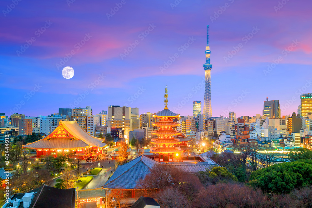 Naklejka premium Widok na panoramę Tokio o zmierzchu