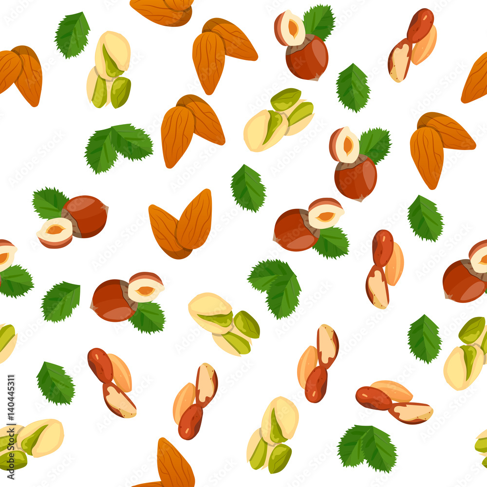 illustration of nuts illustration of nuts