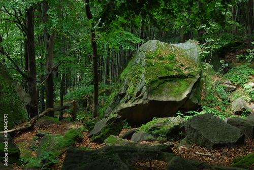 Magurski Park Narodowy, Rezerwat "Kornuty".