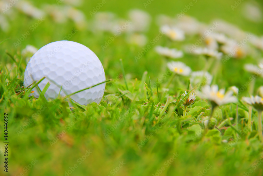 Golf ball on course Golf ball on course