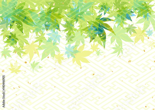 青もみじ　新緑　バックグラウンド