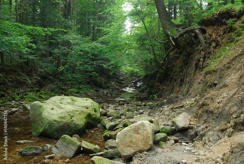 Magurski Park Narodowy, Potok 
