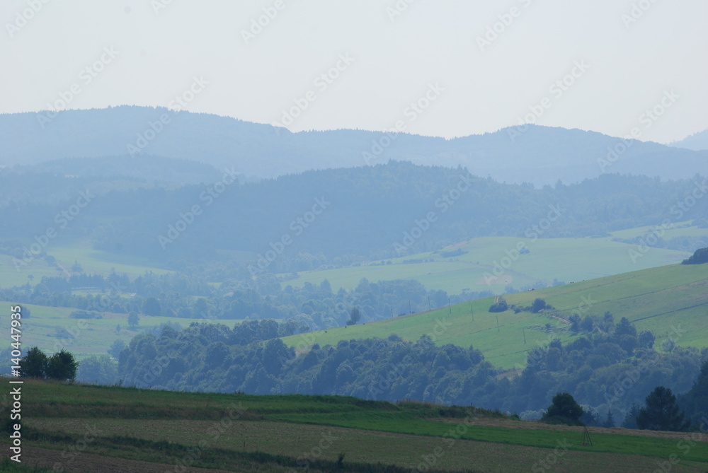 Pogorze Jasielskie, Szlak na Grzywacka Gore. StockFoto Adobe Stock