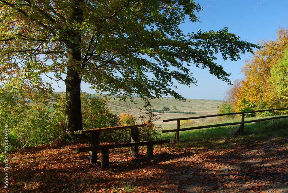 Roztoczanski Park Narodowy.