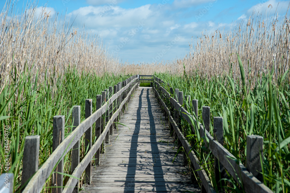 Wooden footbridge, natural protected area, Sweden Wooden footbridge, natural protected area, Sweden