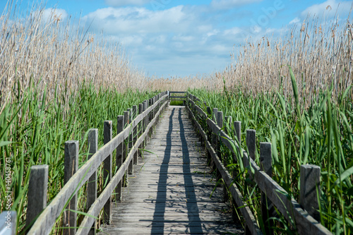 Wooden footbridge, natural protected area, Sweden