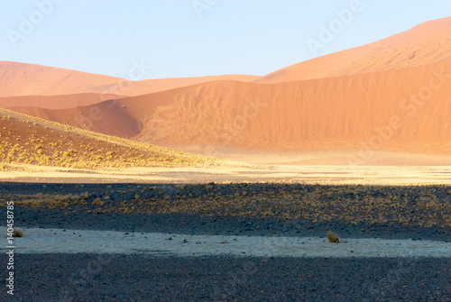 Namib Desert, Namib-Naukluft National Park of Namibia.