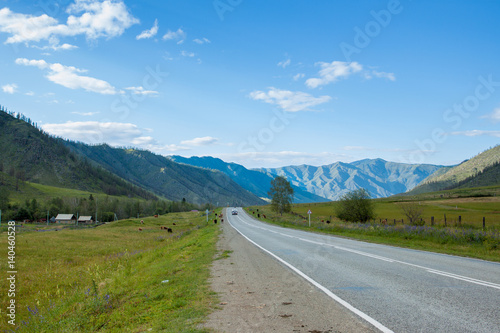 Mountain road landscape. Scenic road in the mountains. On the side there are houses, the cows walk, and in the background the green mountains, blue sky and white clouds.