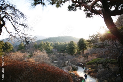 peaceful & calm garden
