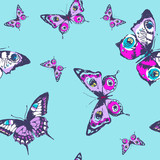 beautiful pattern, butterflies, on a blue