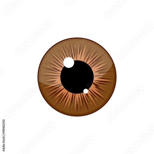 Human brown eyeball iris pupil isolated on white background. Eye