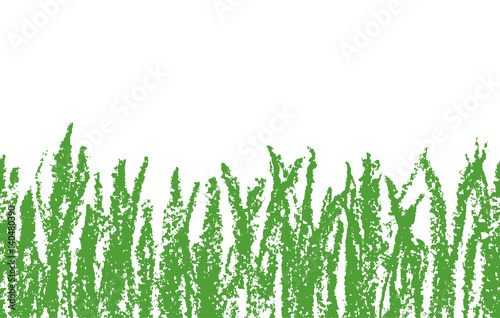 Wax crayon hand drawn green grass isolated on white. Seamless like kid`s drawn background banner with meadow. Vector pastel chalk copyspace design element. Like child`s pencil illustration.