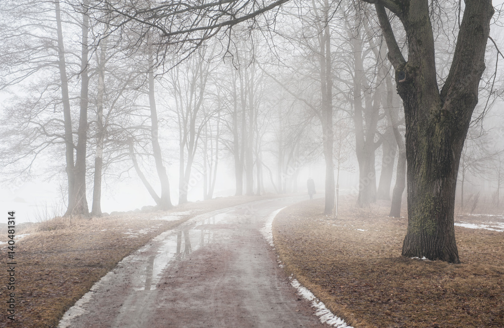 Road in dark foggy forest. Loneliness concept Road in dark foggy forest. Loneliness concept