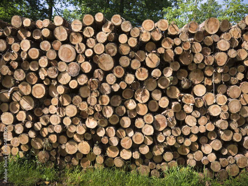 Chopped trees, caber, wooden logs, timber and lumber lying on the pile after deforestation Chopped trees, caber, wooden logs, timber and lumber lying on the pile after deforestation