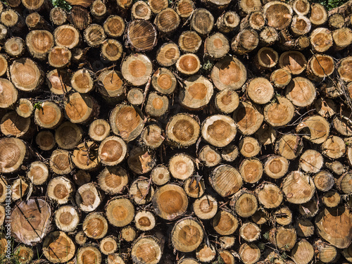 Chopped trees, caber, wooden logs, timber and lumber lying on the pile after deforestation