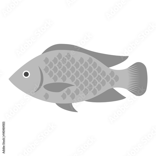 Vector Tilapia, flat design