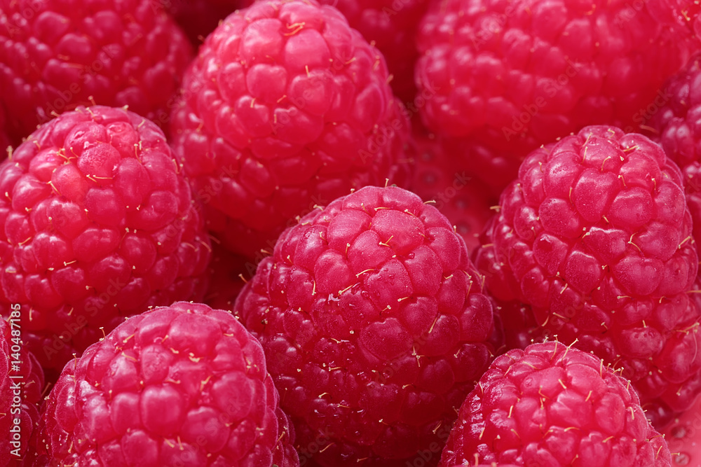 viele Himbeeren, nahaufnahme viele Himbeeren, nahaufnahme