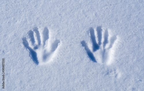 Hand print on clear snow