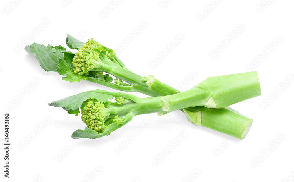 broccolini baby broccoli isolated on white background broccolini baby broccoli isolated on white background