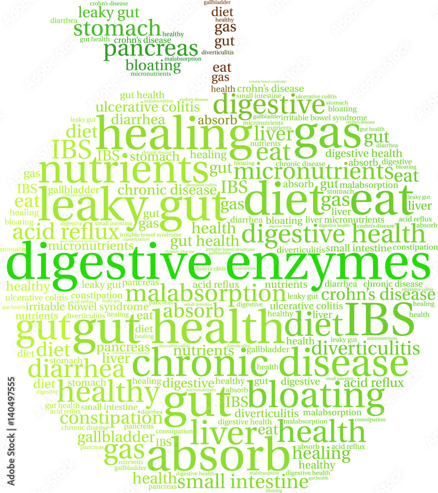 Digestive Enzymes Word Cloud on a white background. 