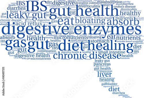 Digestive Enzymes Word Cloud on a white background. 