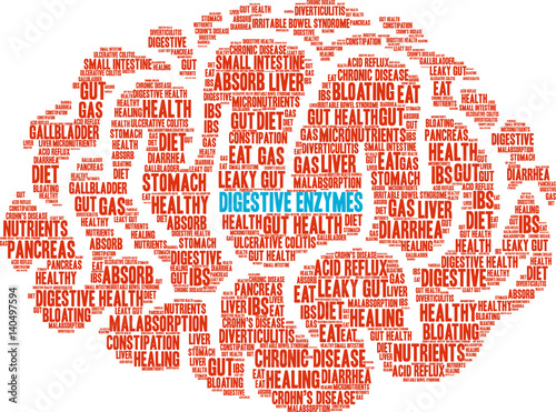 Digestive Enzymes Word Cloud on a white background. 