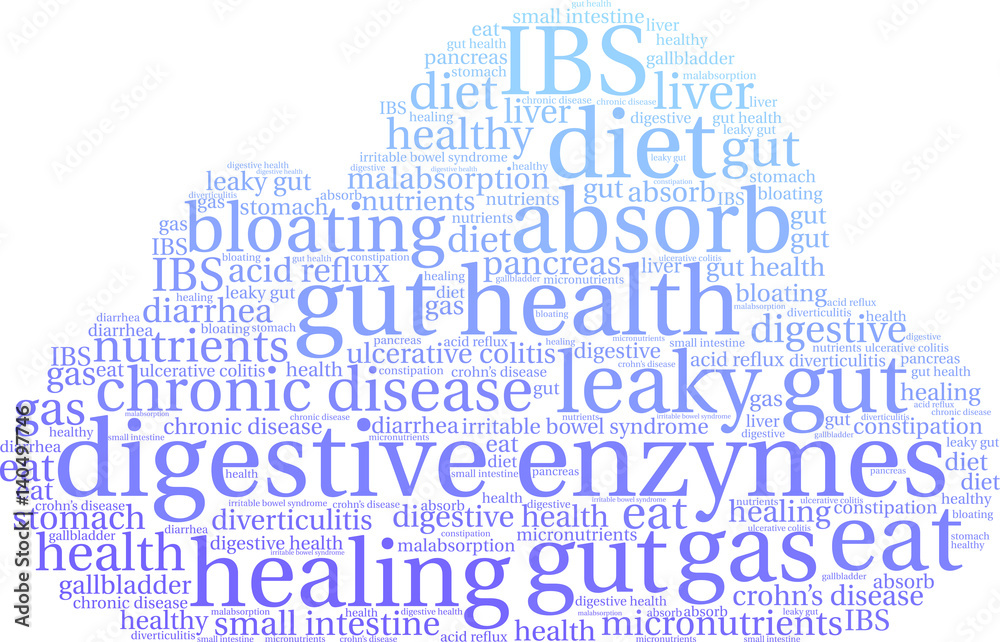Obraz premium Digestive Enzymes Word Cloud on a white background. 
