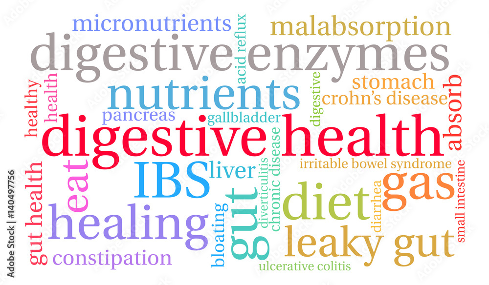 Digestive Health Word Cloud on a white background. 