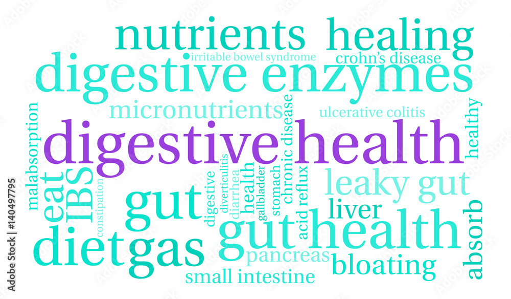 Digestive Health Word Cloud on a white background. Digestive Health Word Cloud on a white background.