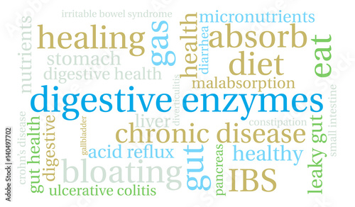 Digestive Enzymes Word Cloud