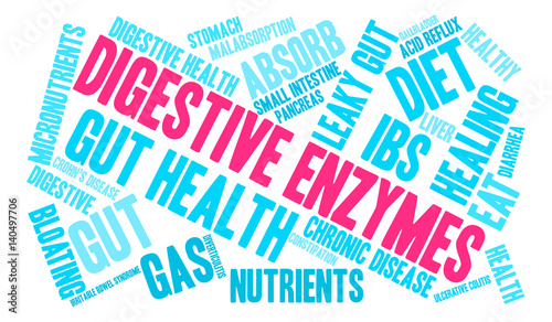 Digestive Enzymes Word Cloud on a white background. 