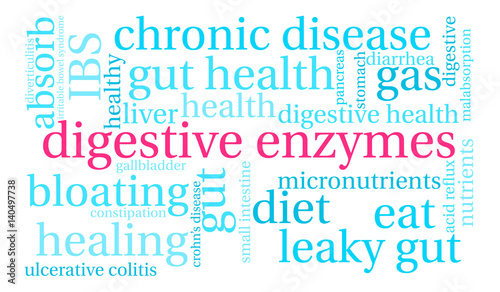 Digestive Enzymes Word Cloud on a white background. 