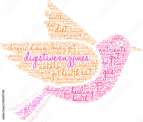 Digestive Enzymes Word Cloud on a white background. 