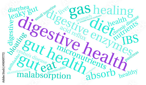 Digestive Health Word Cloud on a white background.