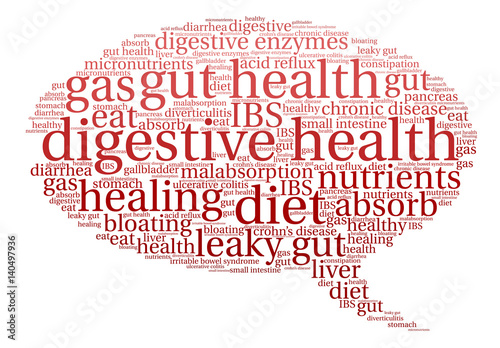 Digestive Health Word Cloud on a white background. 