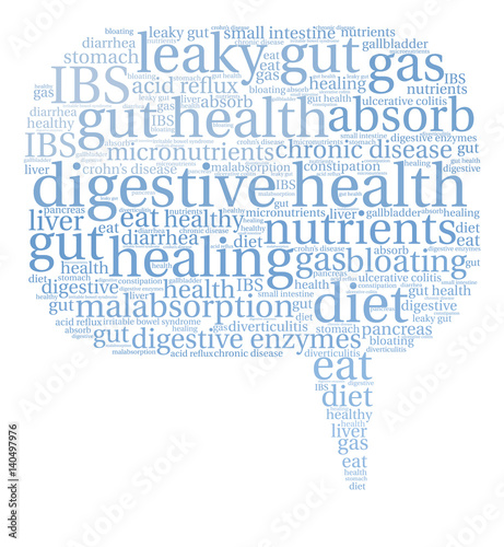 Digestive Health Word Cloud on a white background. 