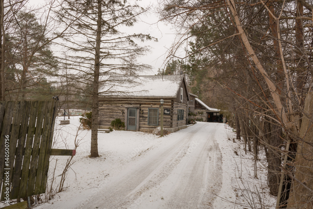 Naklejka premium Log House