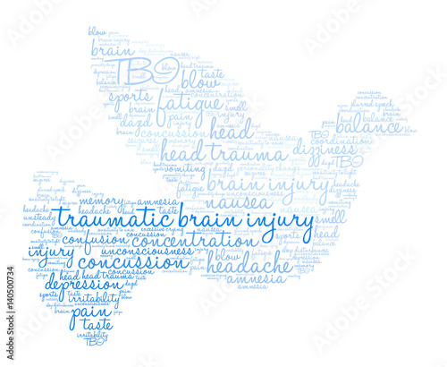 Traumatic Brain Injury Word Cloud on a white background. 