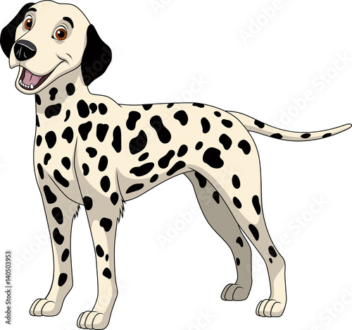 Funny purebred Dalmatian