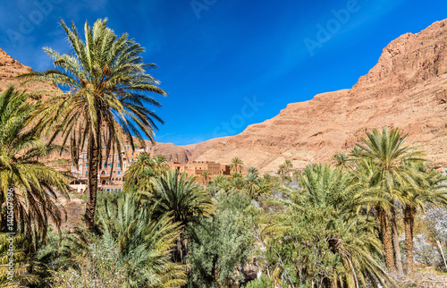 Oasis of the Todra River at Tinghir, Morocco