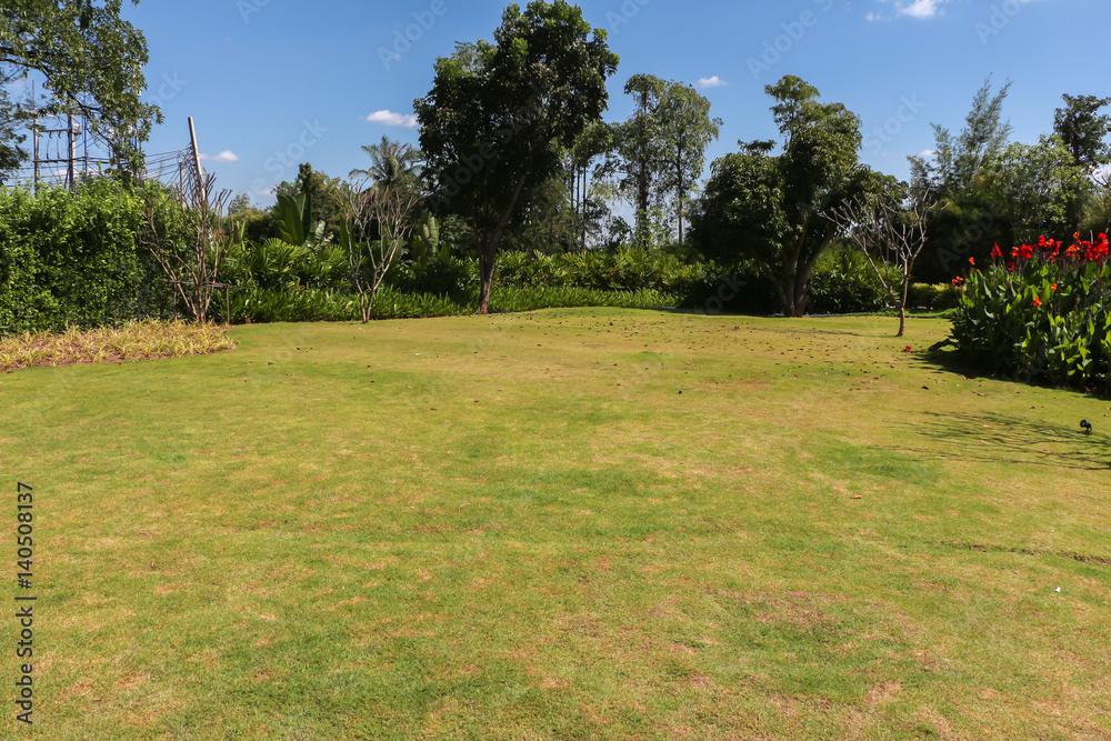 Grass field in garden 