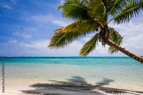 Paradise tropical beach and lagoon in Moorea Island © daboost