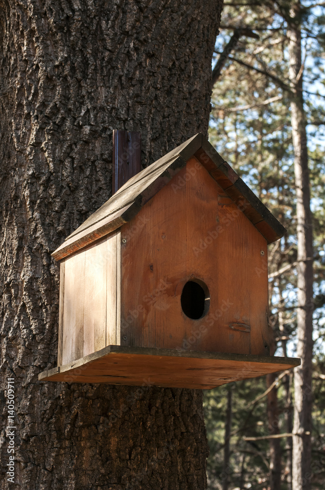 Wooden bird house closeup on oak tree Wooden bird house closeup on oak tree