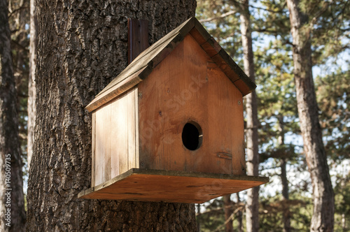 Wooden bird house closeup on oak tree