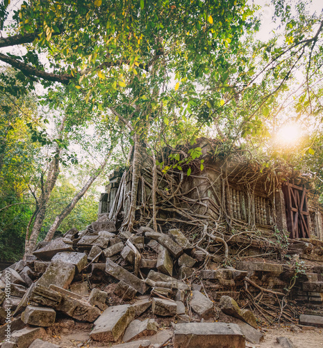 Prasat Beng Mealea in Angkor Complex, Siem Reap, Cambodia. It is largely unrestored, old trees and brush growing amidst towers and many of its stones lying in great heaps. Ancient Khmer architecture. photo