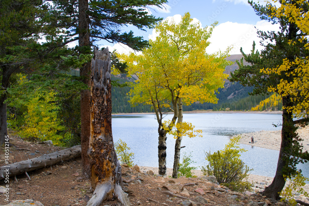 Fototapeta premium Nature of the Jefferson Lake Recreation Area, Colorado